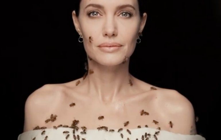 Angelina Jolie wil aandacht voor bijen