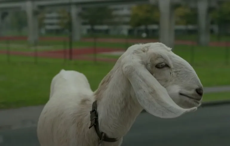 Als Huts in de 60’s uitgebracht was door Chris Deluxe