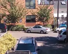 Parkeren als een vrouw in Portland