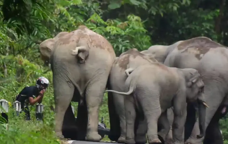 Motorrijder niet welkom in Khao Yai National Park