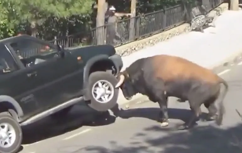 Stier sloopt auto met toeschouwers tijdens festival Guadalajara