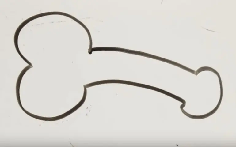 Geschiedenis van de penis