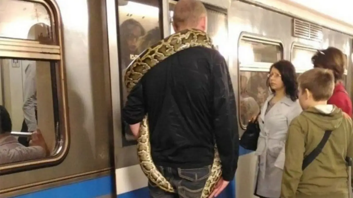 Gewoon een verzameling hilarische foto's #1485