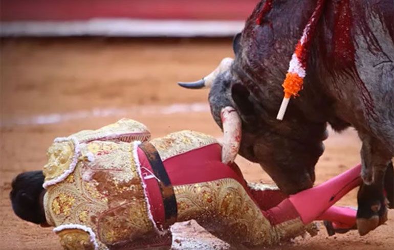 Stier steekt hoorn in ster van matador
