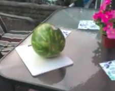 Ali gebruikt zwaard om watermeloen te snijden...