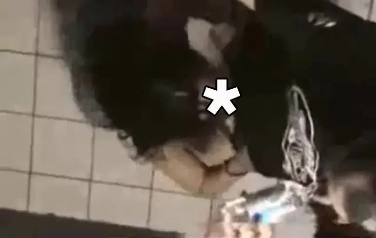 Als je onderburen een wild feestje hebben