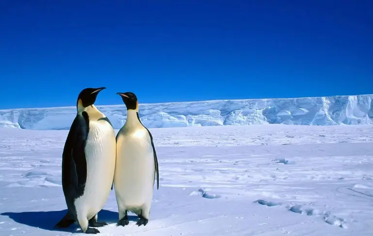 Van wie is Antarctica?