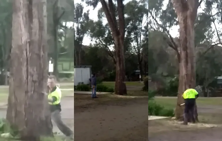 Boom kappen in Glenrowan mag even duren, maar dan…