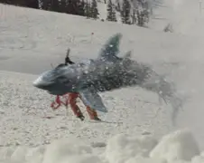 Avalanche Sharks Trailer