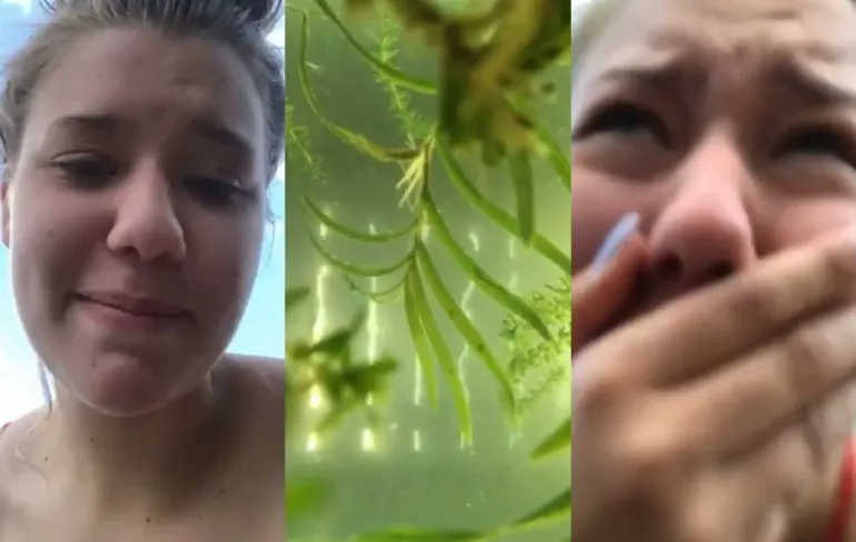 Bakvis gaat door heel veel verschillende emoties in 41 seconden