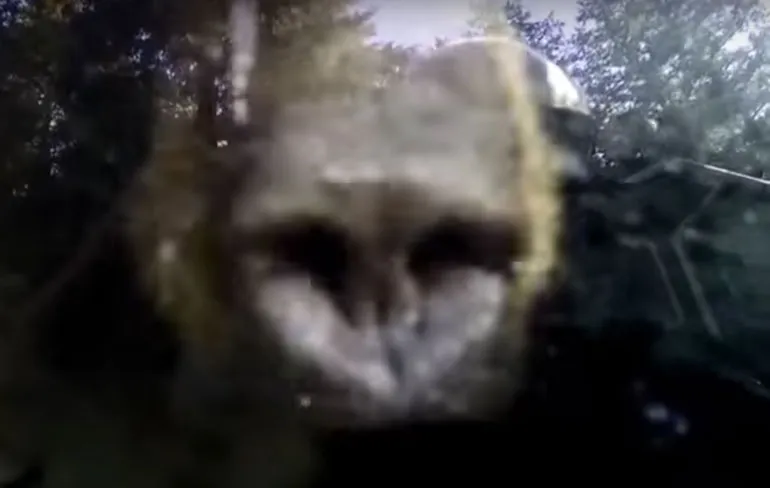 Hallo, spreek ik met de politie? Er zit een beer in m’n auto