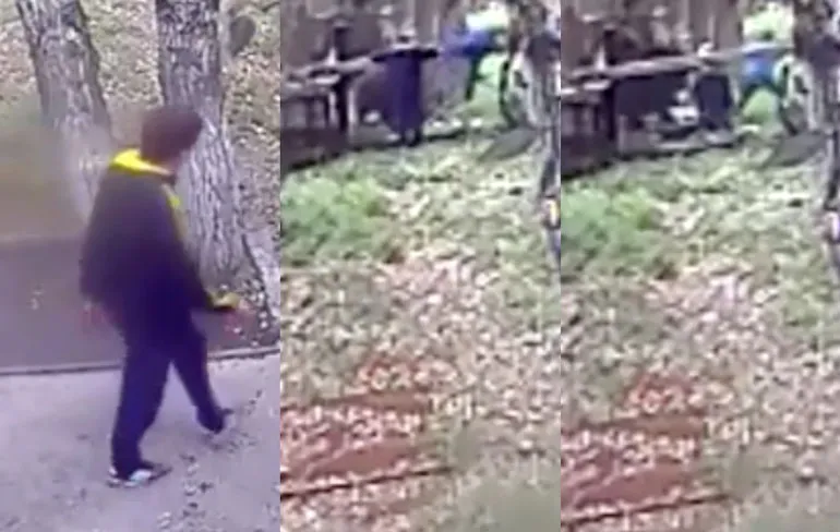 Zat de beren voeden een goed idee?