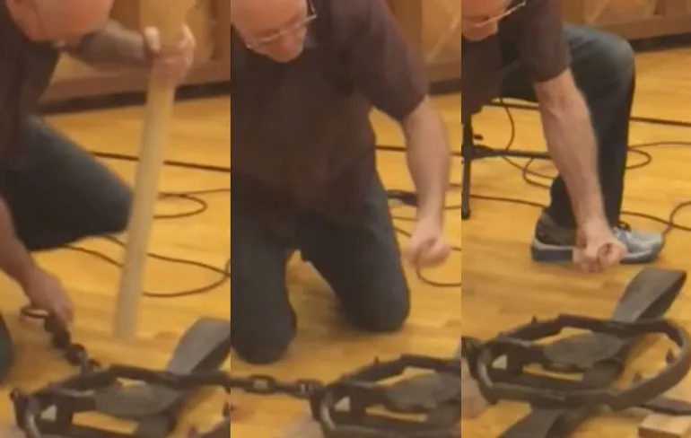 Gast laat berenval met hand af gaan