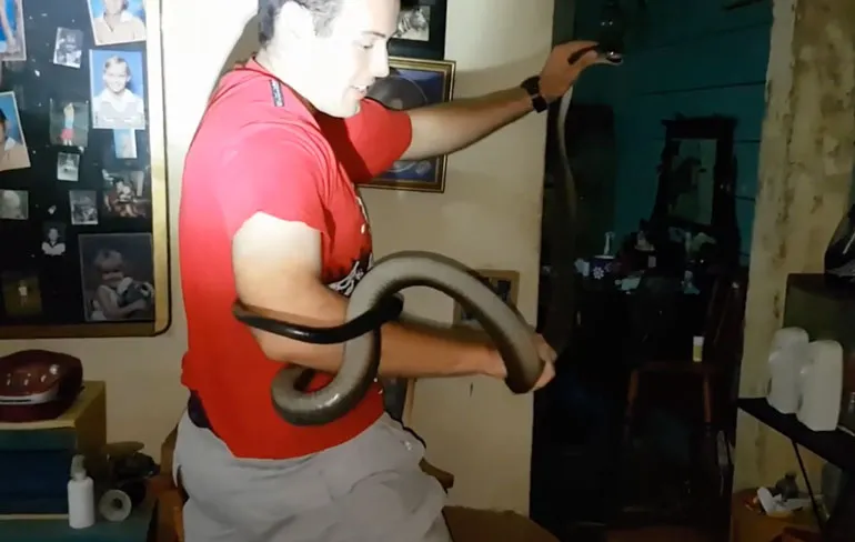 Onschuldig slangetje blijkt extreem gevaarlijke Black Mamba