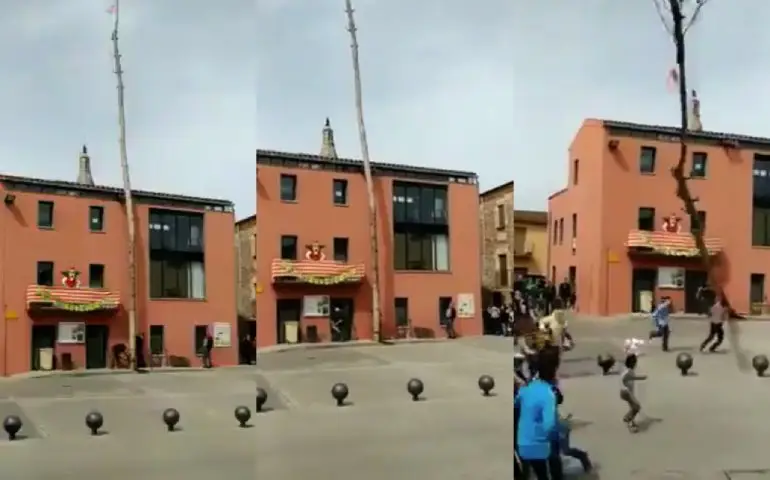 Boom heeft nog laatste geintje