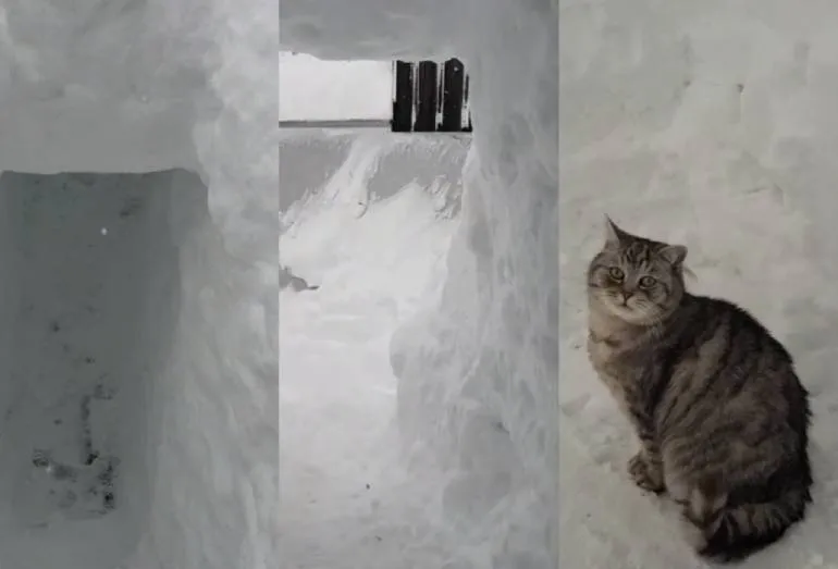 Zoveel sneeuw dat je een tunnel moet graven