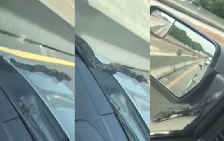 Cobra lift even mee met automobilist