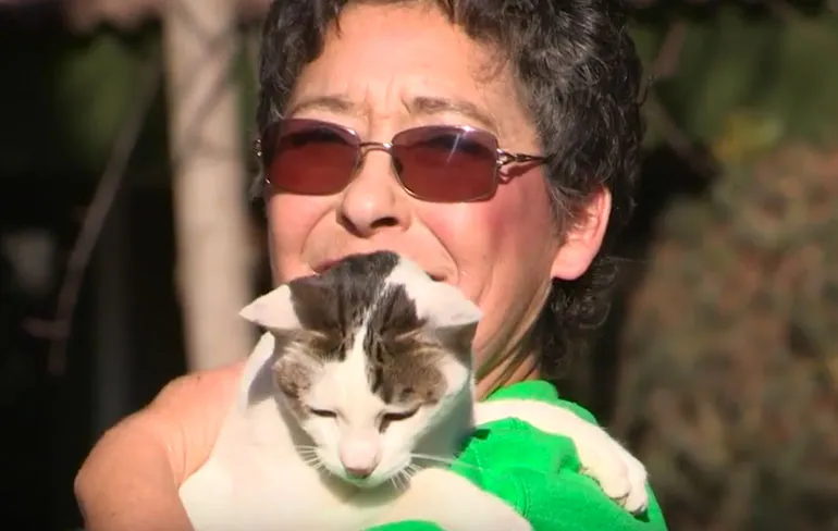 Lynea Lattanzio is een extreem kattenvrouwtje