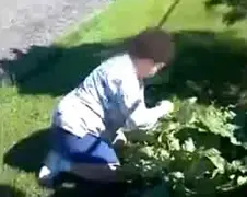 En dat allemaal voor rabarber?