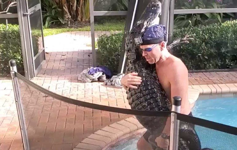 Florida: Broer gebeld om alligator uit zwembad te halen