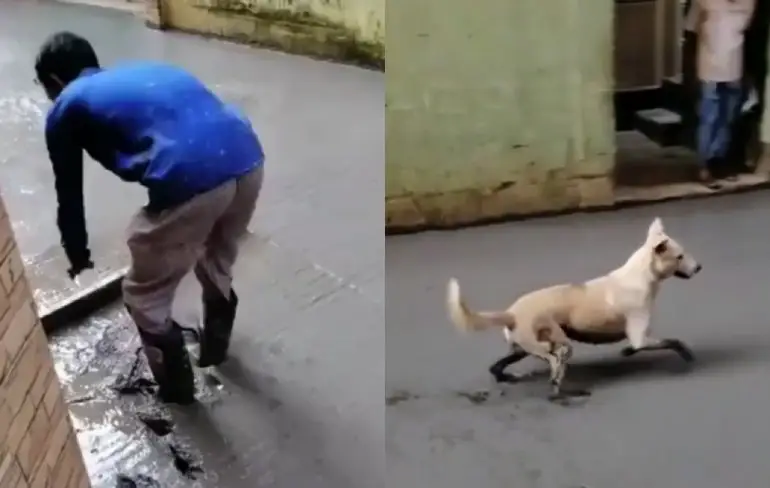 De man die een hond zijn nek wel om kan draaien