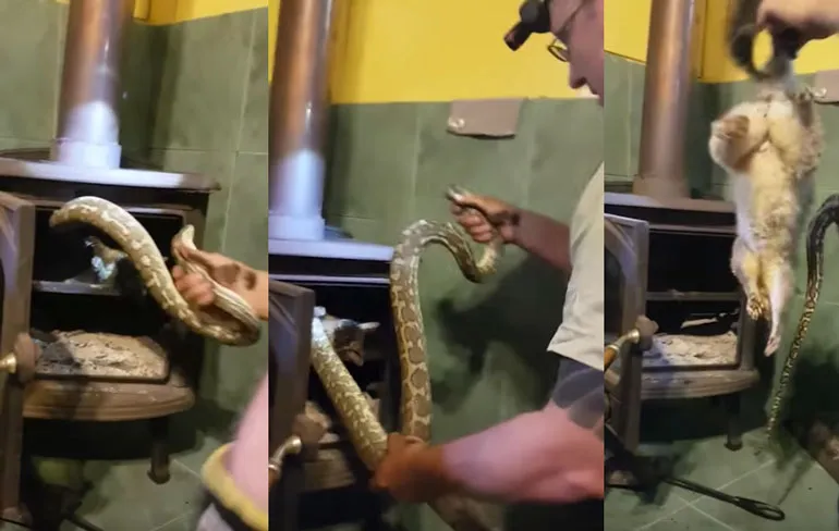 Het gaat niet veel Australischer worden dan dit