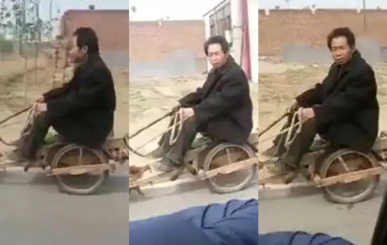 Hond voelt zich duidelijk voor het karretje gespannen