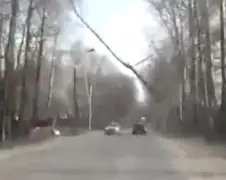 Boom vliegt auto aan