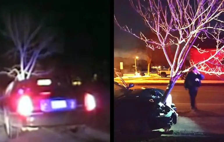 Zat wijf rijdt met boom in haar grille