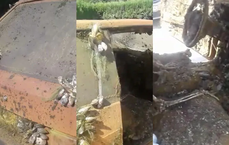 Fiat en bestuurder na jaren uit het water gevist