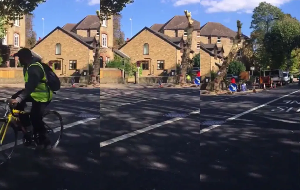 Fietser komt belachelijk goed weg na omzagen boom
