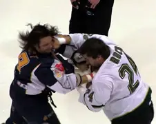 Het beste ijshockey gevecht sinds tijden