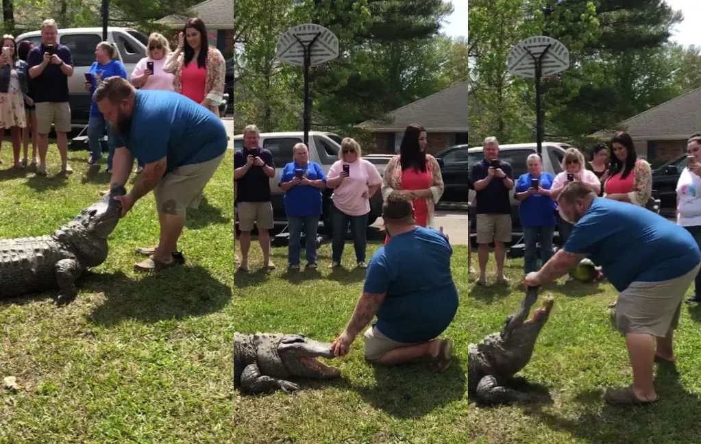 Gender reveal op z’n Steve Irwins