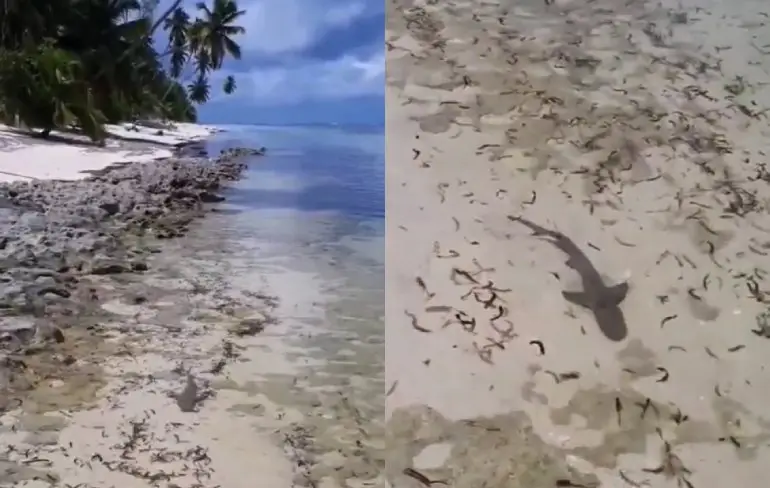 Niet zo heel ontspannen pootjebaden Seychellen editie