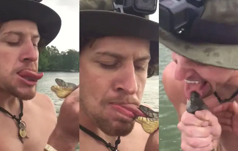 Tongen met een Diamondback Water Snake is af te raden