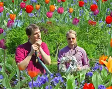 Hoover Boys - Tulips from Amsterdam