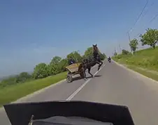 Dame op motor moet even heel erg uitwijken