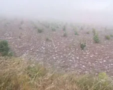 Grote hagelstenen doen wat ze moeten doen