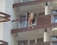 25 jarige vrouw springt van balkon in Tel Aviv