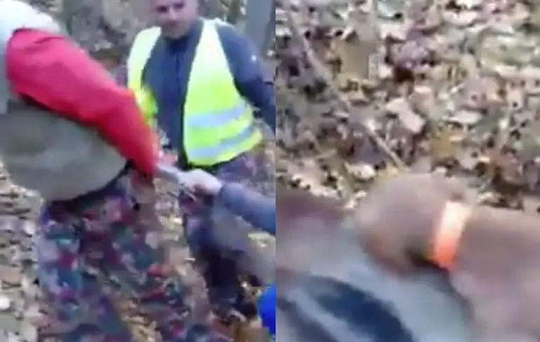 Jachthond neemt het er nog even van