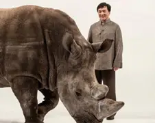 Jackie Chan tegen handel ivoor