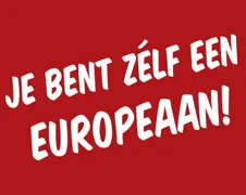 Zo werkt de Europese Unie dus...