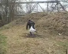 Zat zwervertje met kut dag!