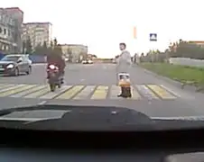 Motormuizen hebben een beetje last van instant karma