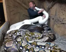 Jay Brewer heeft kleine aanvaring met reuze python