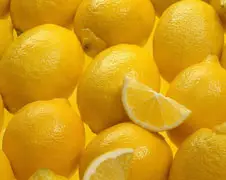 Fruit Ninja in het echt