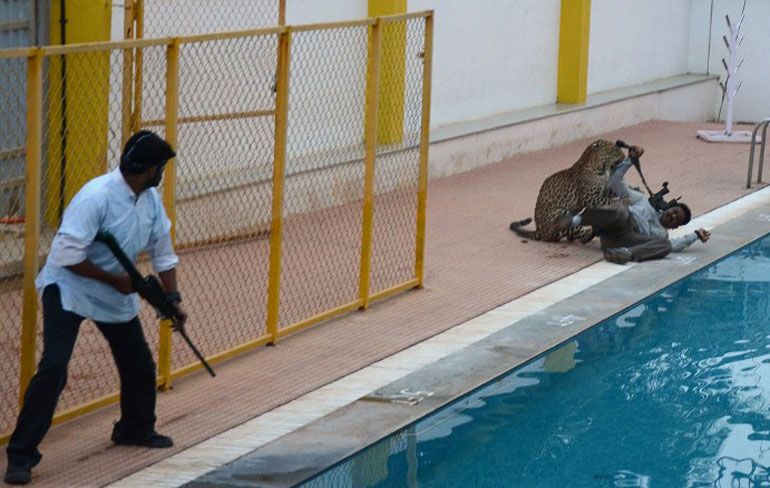 Luipaard valt mensen aan in school Bangalore