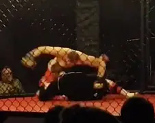 MMA vechter denk Octagon handig te gebruiken