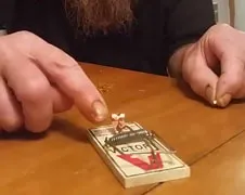 Mouse Trap Jenga