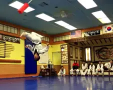People are Awesome - Martial Arts Edition